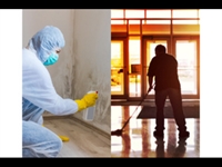 35-year cleaning mold remediation - 1