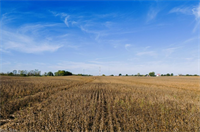 exceptional 256-acre farm with - 3