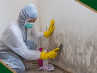 water damage biohazard cleanup - 1