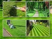established lawn care <a href='https://russianlawyers.eu/will-bigger-be-better-for-united-and-continental' target='_blank'>business</a> - 1