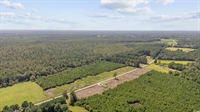 plot of land nichols - 3