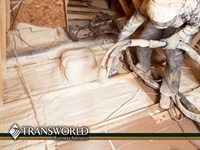 long standing floor coating - 1