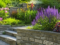 profitable landscaping design snow - 1