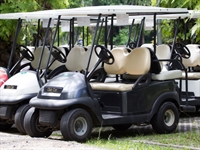 well-established golf carts sales - 1
