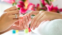 established tampa nail salon - 1