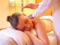 therapeutic massage wellness company - 1