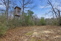 77 acre ranch land - 1