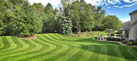 established lawn treatment yard - 1
