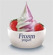 yogurt smoothie franchise rockland - 1