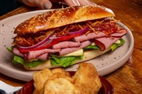 hoagie franchise-seller financing only - 1