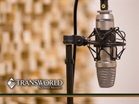 profitable recording studio pinellas - 1