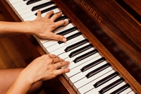 established profitable piano business - 1