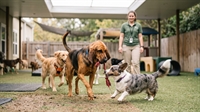 south co pet daycare - 1