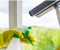 20-year eco-friendly cleaning brand - 1