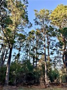 plot of land available - 3