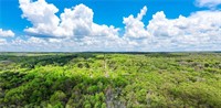 premier 735-acre hunting timber - 3
