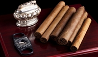 profitable cigar smoke shop - 1