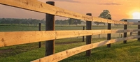 profitable top rail fence - 1