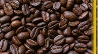 profitable colombian coffee importer - 1