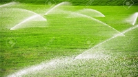 irrigation business tampa - 1