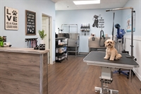 turnkey pet grooming shop - 1