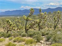 plot of land available - 2