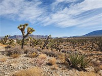 plot of land available - 2