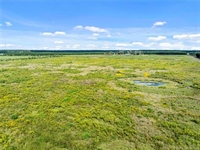 40 acre pasture land - 1