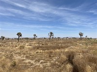plot of land available - 2