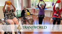 established physical therapy practice - 1