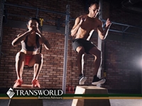 knockout gym opportunity two - 1