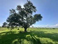 plot of land available - 2