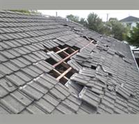 recession-resistant roofing repair business - 1