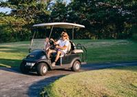 golf carts accessories retailer - 1