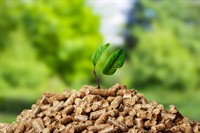 19 6 mw biomass - 1