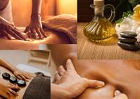 successful wellness health massage - 1
