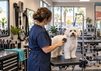 award-winning grooming salon loyal - 1