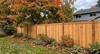 fence franchise with three - 1