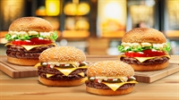 established 6-unit burger king - 1
