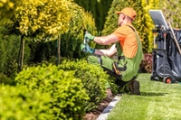 lawn service landscaping company - 1