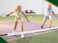 sell-ready indoor pickleball business - 1