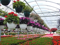 greenhouse wholesaler - 1
