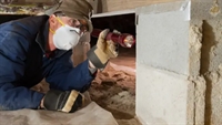 crawl space services business - 1