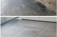 profitable carpet cleaning franchise - 1
