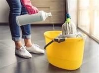 established cleaning company new - 1