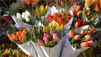 turnkey high-end florist with - 1
