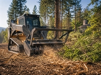 tree service wildfire mitigation - 1