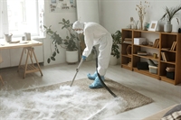 carpet cleaning business with - 1