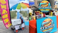profitable seasonal mobile hot - 1