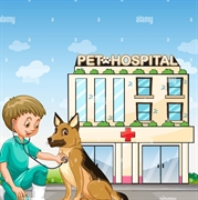 veterinary practice with re - 1